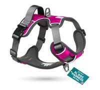 Embark Adventure No Pull Dog Harness, Heavy Duty Vest, Pink X-Large