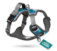 Embark Adventure No Pull Dog Harness, Heavy Duty Vest, Teal Small