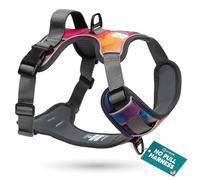 Embark Urban Dog Harness - No Pull, Adjustable, Soft & Padded with Control Handle & 2 Leash Clips for Large Dogs |Puppy Harness|