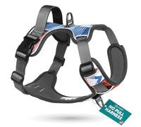 Embark Urban Dog Harness, No Pull Dog Harness with 2 Leash Clips, Dog Harness for Large Dogs anti pull dog harness Front & Back with Control Handle, Adjustable, Soft & Padded |Puppy Harness|