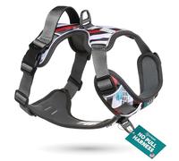Embark Urban Dog Harness, No Pull Dog Harness with 2 Leash Clips for Small Dogs anti pull, Front & Back with Control Handle, Adjustable, Soft & Padded