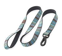 Embark Urban Dog Lead - Leads for Small, Medium and Large Dogs (BOHO 4FT)