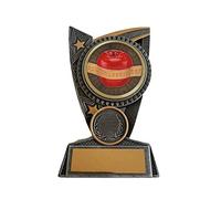 Emblems-Gifts Weight Loss Diet Weight Watching Trophy Award ENGRAVED FREE 150 mm