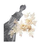 Embroidered 3D Lace Applique DIY Sewing Collar Decor for Clothes Accessories(Lace Collar 01)