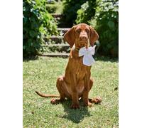 Embroidered animal cotton bow tie beige