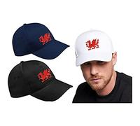 Embroidered Design Welsh Red Dragon Baseball Cap, Wales Flag UK Design Gift Hat(Black)