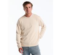 Embroidered Pete Crewneck Fleece In Birch