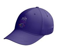 Embroidered Pride Baseball Cap The Future is Diverse Unisex Hat with Rainbow Text LGBTQ Gay Lesbian Bi Trans Queer Gift, One Size, Purple