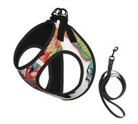 Embroidery Colorful Butterfly Print Small Dog Vest with Leash, Pet Wear M | Cat Comfort No-Chock Step-In Safety Companion Outdoor Travel Puppy Breathable Mesh Canine Dog Walking