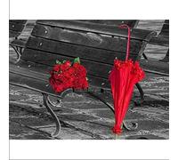 Embroidery Cross Stitch Kits Red Umbrella Rose Flower DIY 11Ct Embroidery Cross Stitch Kits Craft Needlework Set Cotton Thread Printed Canvas Stamped with Printed Pattern Starter Kit