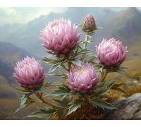 Embroidery Kit for Beginners, Highland Scottish Thistle, DIY Designs Cross-Stitch Easy Supplies Needlework, Needlepoint Embroidery Gift for Home Decor 16x20 inch