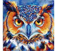 Embroidery Kit Pillowcase, Animal owl Cross Stitch Cushion Kit,DIY Embroidery Pillow Case,Pillow Cover Kits, Sewing Art Home Decoration 45X45cm