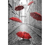 Embroidery Kit Red Umbrella Rose Flower DIY Cross Stitch 11CT Embroidery Kits Needlework Craft Set Cotton Thread Printed,50 * 70cm