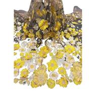 Embroidery Lace Tulle Fabrics, Unilateral Embroidered 3D Applique Wedding Fabric for DIY Polyester Mesh Multicolor 1Yard(Apricot Mesh Yellow)