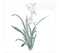 Embroidery Patch 19 X 24.5CM Orchid Flower Patch Iron On Applique Floral for Clothes Fabric to Stick DIY Coat Jeans Accessories for Clothes(Color B)