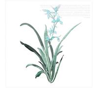 Embroidery Patch 19 X 24.5CM Orchid Flower Patch Iron On Applique Floral for Clothes Fabric to Stick DIY Coat Jeans Accessories for Clothes(Color E)