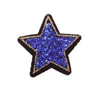 Embroidery Patches 10PC/lot 4cm Glitter Sequin Star Embroidered Patch Iron On Applique for Clothes Dress Plant Hat Jeans Sewing Flower DIY for DIY(Antique Silver)