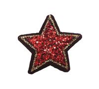 Embroidery Patches 10PC/lot 4cm Glitter Sequin Star Embroidered Patch Iron On Patch Applique for Clothes Dress Plant Hat Jeans Sewing Flower DIY(Antique Zinc)