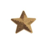 Embroidery Patches 10pcs Big Sequined Star Patches Embroidery Glitter Fabric Appliques DIY Patchwork Crafts Sewing Jeans Coats Badge Suits(Gold)