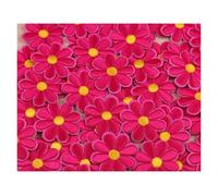 Embroidery Patches 10PCS Flower Daisy Embroidery Patches Thermoadhesive Patch Iron On for Clothing Cartoon Stickers Hat Badge for DIY(Black Nickel)