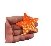 Embroidery Patches 10pcs Sequins Glitter Star Ironing Patch Embroidery Cloth Jacket Bag Hat Decor Accessories Flash DIY Craft Supplies for DIY(Color 10,Large(12 * 12cm))