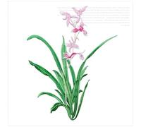 Embroidery Patches 19 X 24.5CM Orchid Flower Patch Iron On Applique Floral for Clothes Fabric to Stick DIY Coat Jeans Accessories for DIY(Color C)