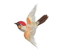 Embroidery Patches 5pc Flying Bird Embroidery Patch DIY Stick On Repair Decal for Clothing Hole Decoration for DIY(Color 2)