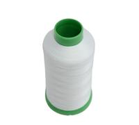 Embroidery Threads 1 Roll Luminous Embroidery Thread Glow in the Dark Sewing Threads DIY Handmade Cross Stitch Yarn Line Home Needlework Materials(White)