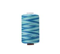 Embroidery Threads 300/1000 Polyester Thread Sewing;Quilting Hand Stitch Section-Dyed Rainbow Sewing for Needlework & Machine(17-1000Yards)