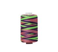 Embroidery Threads 300/1000 Polyester Thread Sewing;Quilting Hand Stitch Section-Dyed Rainbow Sewing for Needlework & Machine(20-1000Yards)
