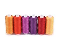EmbroideryThreads Kit, 6 pcs Multicolor Embroidery Sewing Thread 400 Yards Polyester for Machine and Hand Use(Red Series)