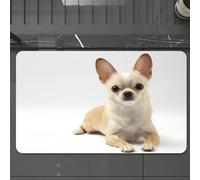 EMCLKS Bath Mat 60x90 cm,Extra Soft Absorbent Microfiber,Non-Slip Washable Rugs for Shower Floor,Chihuahua photography, Chihuahua island, big eyes and upright ears, Chihuah,Bathmat Accessories Decor