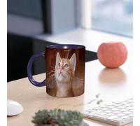 EMCLKS Funny Coffee Mug for Dad,Grandad & Men 11oz Ceramic Premium Mugs - Father’s Day Gift | Novelty Ceramic Coffee Cup | Animal, an Angel Kitten with Wings and Halo, Looking at The Sky