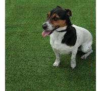 Emerald 40mm Outdoor Artificial Grass,8 Years Warranty, Realistic Artifical Grass, Plush Fake Grass-3M(9'9") X 4M(13'1")-12M²