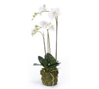 Emerald Artificial Phalaenopsis Orchid 70cm White Faux Lifelike Indoor Plant