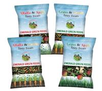 Emerald Green Tasty Treat Grass&Carrot