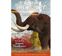 Emergency Medicine Decision Making: Critical Choices in Chaotic Environments