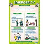 Emergency | PSHE Posters | Gloss Paper measuring 850mm x 594mm (A1) | PSE Classroom Posters | Education Charts by Daydream Education