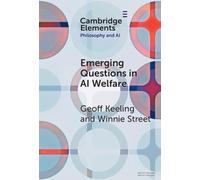 Emerging Questions in AI Welfare