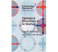 Emerging Questions in AI Welfare