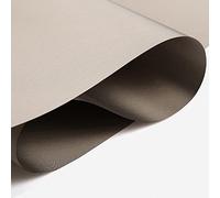 EMF Protection Shielding Fabric Faraday Fabric Sheet EMF Blocker Material Anti-Radiation Military Grade Tent Fabric Micro-Wave Oven,RF,EMI,WiFi,Cell Phone,silver-1m