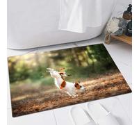 EMFSLA Bath Mat 24x35 in,Dog Jack Russell Terrier jump over the leaves autumn mood,Non-Slip Bathroom Mat Machine-Washable,Ultra Soft and Water Absorbent Bath Rug for Bathroom