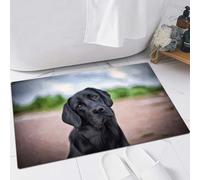 EMFSLA Bath Mat 24x35 in,Drawing dogs labrador black,Non-Slip Bathroom Mat Machine-Washable,Ultra Soft and Water Absorbent Bath Rug for Bathroom