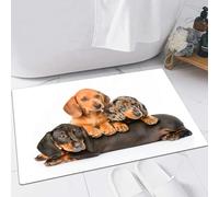 EMFSLA Bath Mat 24x35 in,Group Dachshund Dogs Lying Together,Non-Slip Bathroom Mat Machine-Washable,Ultra Soft and Water Absorbent Bath Rug for Bathroom