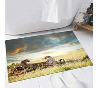 EMFSLA Bath Mat 24x35 in,Safari decor, Two cheetahs, Africa Nature, Dangerous animals, hunters,Non-Slip Bathroom Mat Machine-Washable,Ultra Soft and Water Absorbent Bath Rug for Bathroom