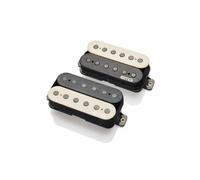 EMG Jim Root Daemonum Set Zebra