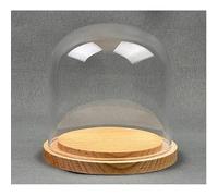 EMH Small Glass Dome Display Cloche Natural Wooden Base 10 x 10 cm