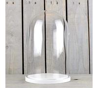 EMH Small Glass Dome Display Cover Cloche White Wooden Base Height 27.5cm