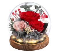 Emibele Christmas Eternal Rose Gifts for Mom, Preserved Real Rose in Glass Dome with LED Light for Decoration, Flowers for Delivery Prime, Gifts for Women Wife Her on Mother's Day Birthday, Red
