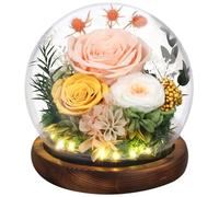 Emibele Christmas Eternal Rose Gifts for Mom, Preserved Real Rose in Glass Dome with LED Light for Decoration, Flowers for Delivery Prime, Gifts for Women Wife Her on Mother's Day Birthday, Champagne
